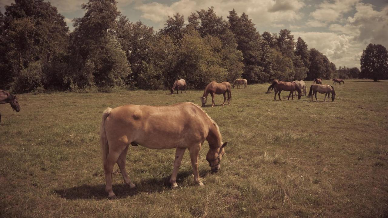Masuria Warsaw Family Holiday home