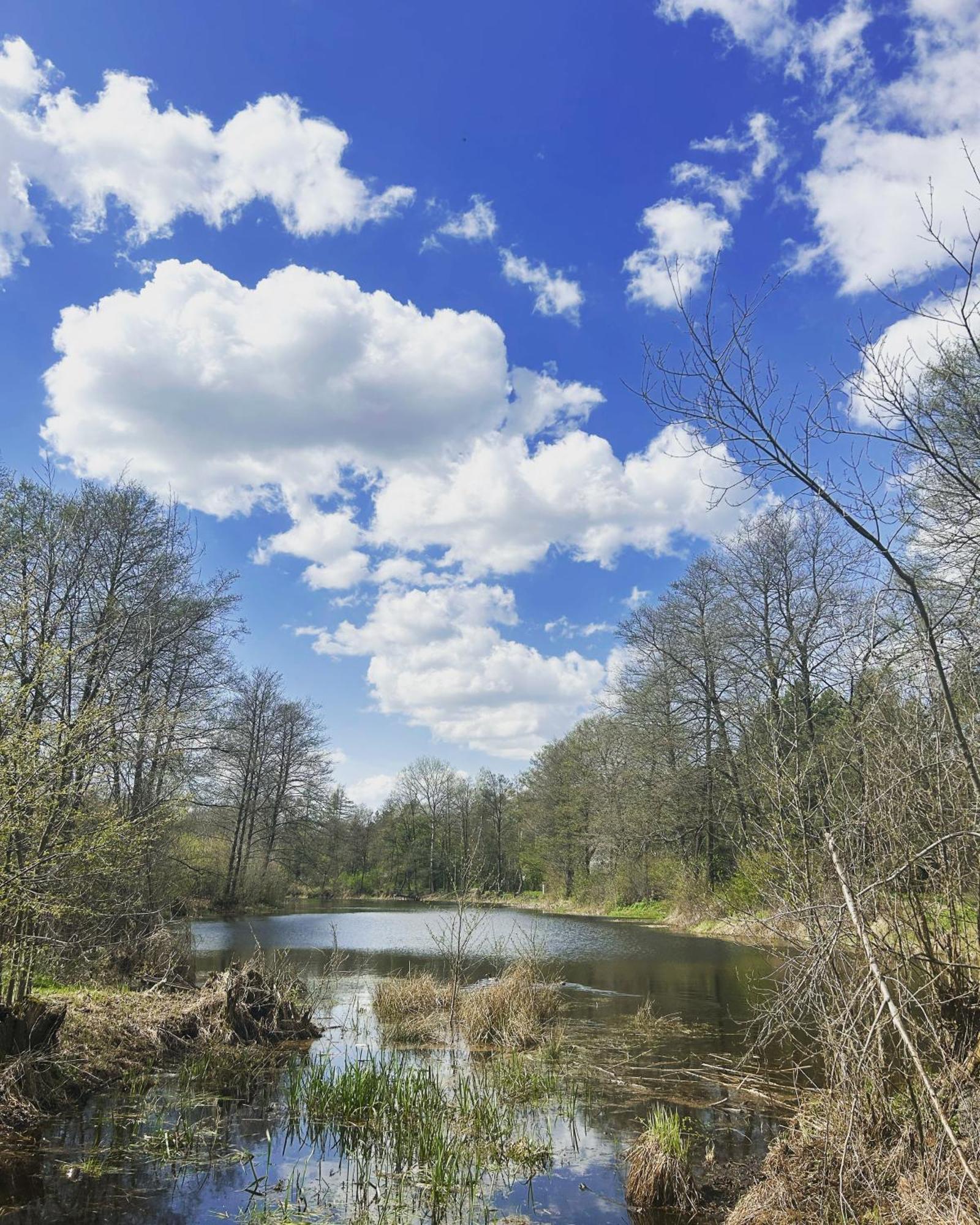 Masuria Warsaw Family Holiday home
