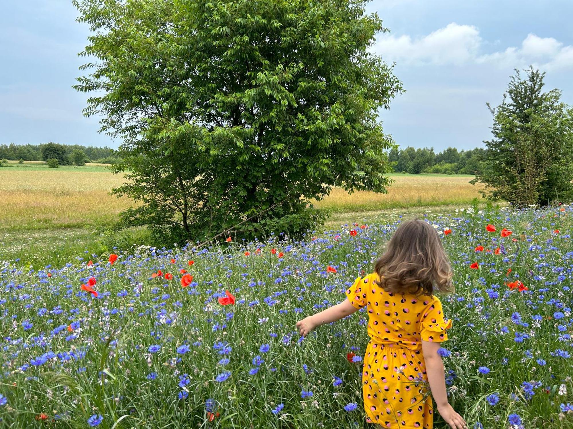 Masuria Warsaw Family * Topolina
