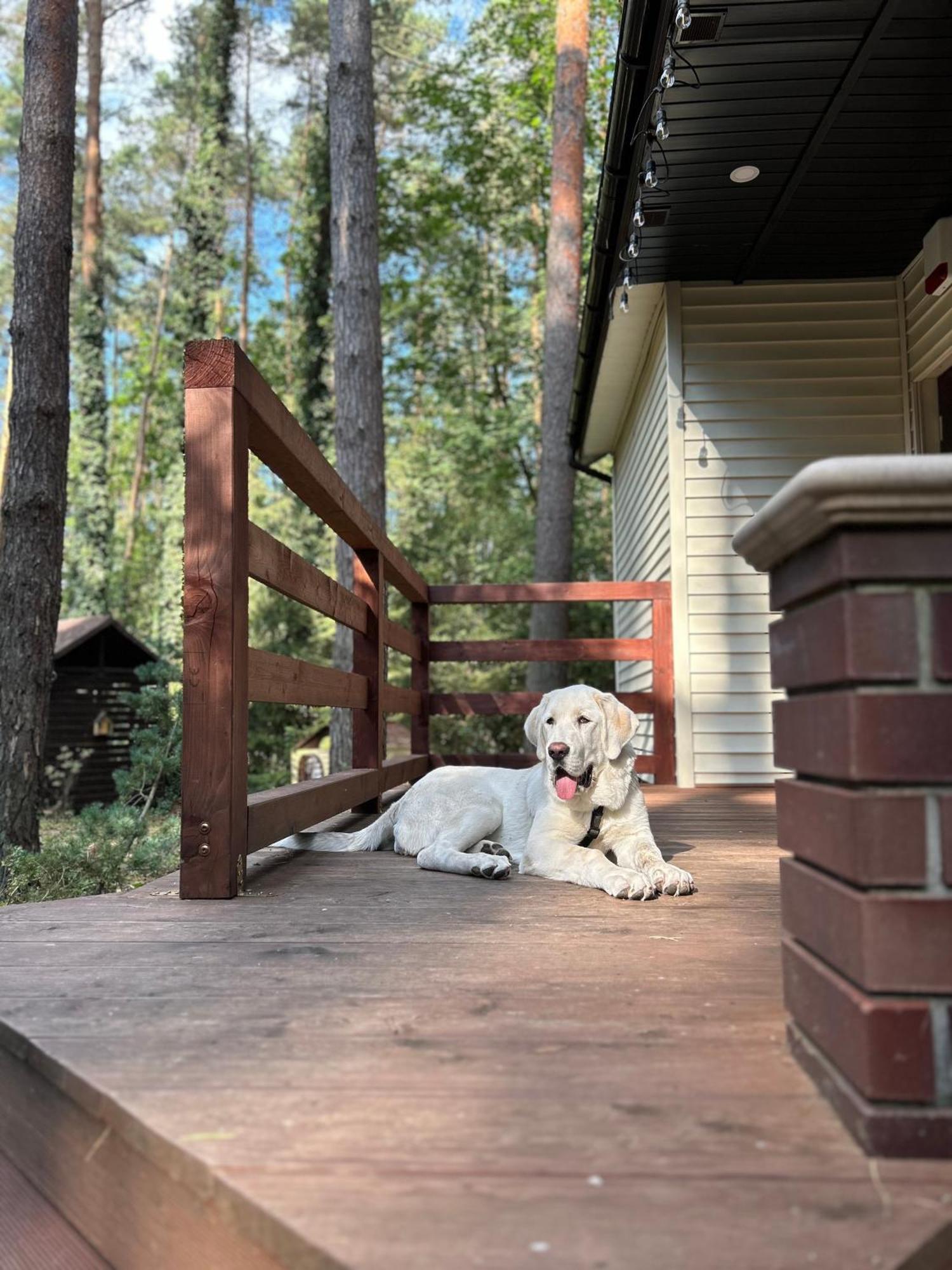Masuria Warsaw Family Holiday home Topolina
