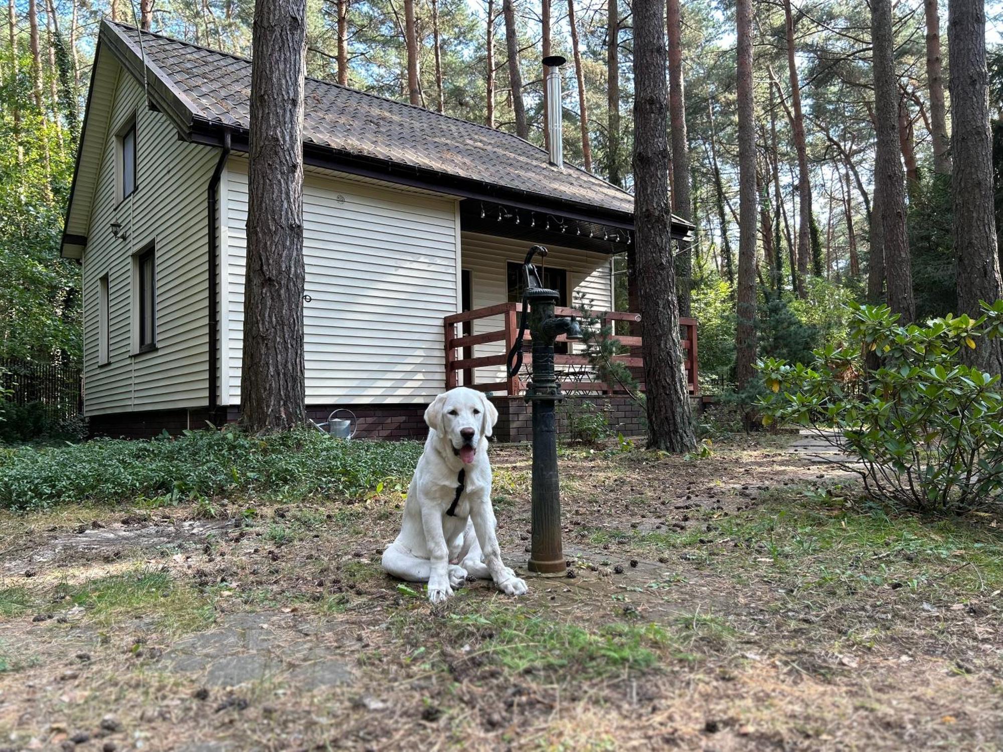 Masuria Warsaw Family *